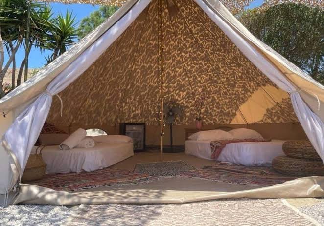 Inside a spacious bell tent with beds and rugs